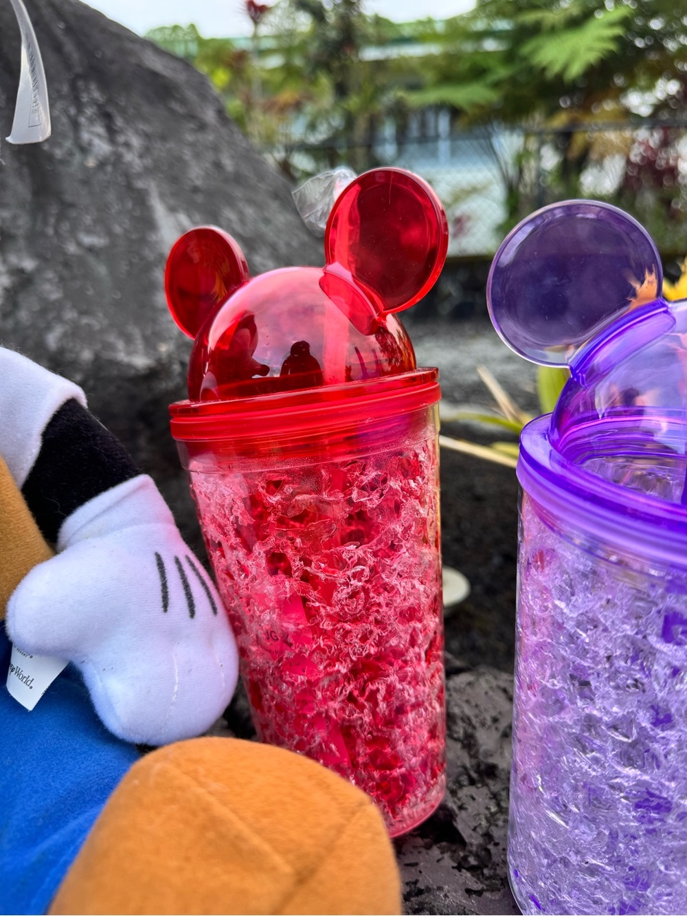Disneyland Resort Mickey Mouse Plush & Mickey Ear Tumblers Bundle - Picture 8 of 9